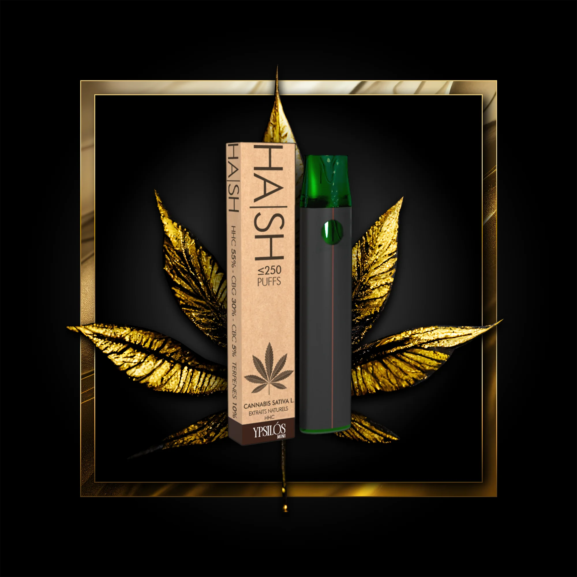 Hash (jedno použitie) 250 šlukov - 0,50 ml. HHC